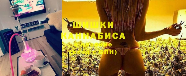 дживик Баксан