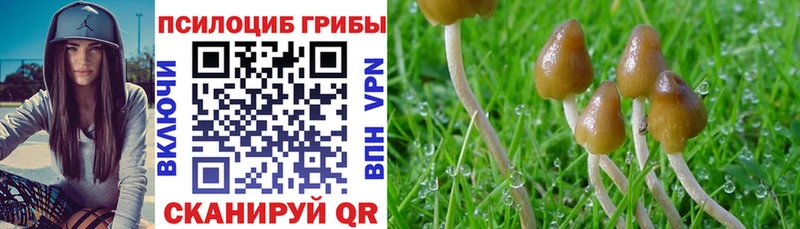 Псилоцибиновые грибы MAGIC MUSHROOMS  Горняк 